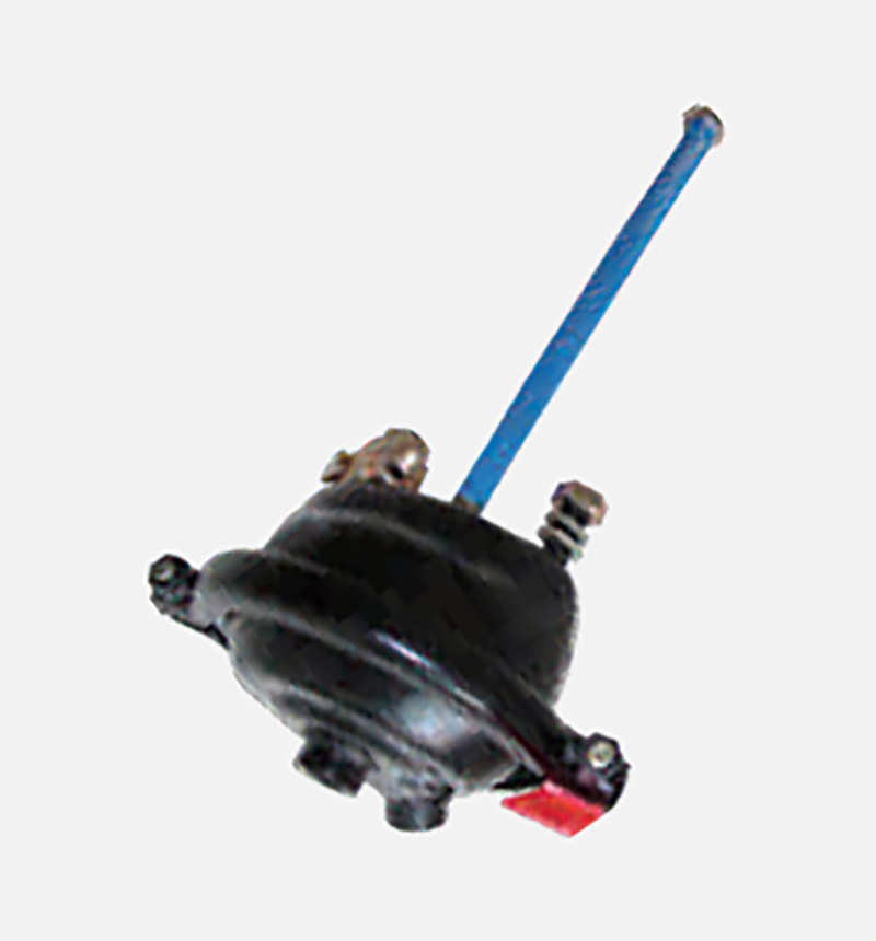T12-منتج